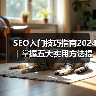 SEO入门技巧指南2024|掌握五大实用方法提升网站排名(图4) SEO入门技巧指南2024|掌握五大实用方法提升网站排名(图4)