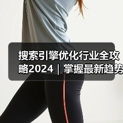 搜索引擎优化行业全攻略2024｜掌握最新趋势与实用技巧（图2）