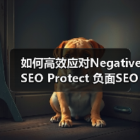 如何高效应对Negative SEO Protect 负面SEO保护，确保网站稳健（图2）