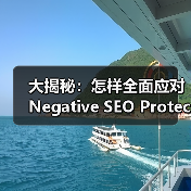 大揭秘：怎样全面应对Negative SEO Protect 负面SEO保护战役（图3）
