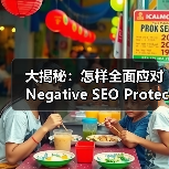 大揭秘：怎样全面应对Negative SEO Protect 负面SEO保护战役