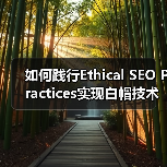 如何践行Ethical SEO Practices实现白帽技术的长远价值（图3）