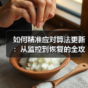 如何精准应对算法更新:从监控到恢复的全攻略(图2) 如何精准应对算法更新:从监控到恢复的全攻略(图2)