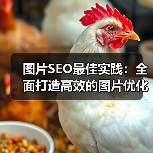 图片SEO最佳实践:全面打造高效的图片优化策略(图3) 图片SEO最佳实践:全面打造高效的图片优化策略(图3)