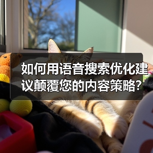 如何用语音搜索优化建议颠覆您的内容策略?(图3) 如何用语音搜索优化建议颠覆您的内容策略?(图3)