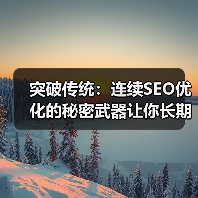 突破传统：连续SEO优化的秘密武器让你长期成功（图2）