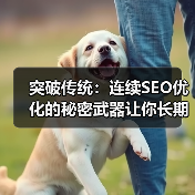 突破传统：连续SEO优化的秘密武器让你长期成功（图3）