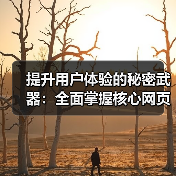 提升用户体验的秘密武器:全面掌握核心网页指标优化技巧(图2) 提升用户体验的秘密武器:全面掌握核心网页指标优化技巧(图2)