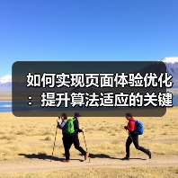 如何实现页面体验优化：提升算法适应的关键策略（图4）