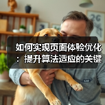 如何实现页面体验优化：提升算法适应的关键策略