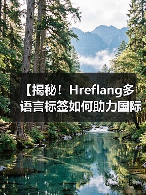 【揭秘!Hreflang多语言标签如何助力国际网站优化排名】(图4) 【揭秘!Hreflang多语言标签如何助力国际网站优化排名】(图4)