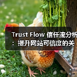 Trust Flow 信任流分析：提升网站可信度的关键指标揭秘