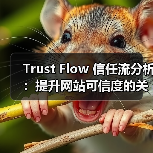 Trust Flow 信任流分析：提升网站可信度的关键指标揭秘（图2）