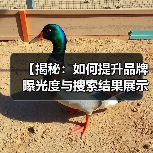 【揭秘：如何提升品牌曝光度与搜索结果展示的可见性】
