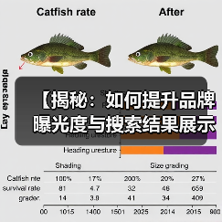 【揭秘:如何提升品牌曝光度与搜索结果展示的可见性】(图2) 【揭秘:如何提升品牌曝光度与搜索结果展示的可见性】(图2)