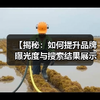 【揭秘:如何提升品牌曝光度与搜索结果展示的可见性】(图4) 【揭秘:如何提升品牌曝光度与搜索结果展示的可见性】(图4)