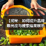 【揭秘:如何提升品牌曝光度与搜索结果展示的可见性】(图3) 【揭秘:如何提升品牌曝光度与搜索结果展示的可见性】(图3)