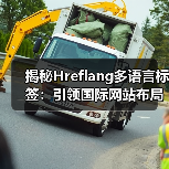 揭秘Hreflang多语言标签：引领国际网站布局的核心秘密（图4）
