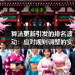 算法更新引发的排名波动:应对规则调整的实战策略揭秘(图3) 算法更新引发的排名波动:应对规则调整的实战策略揭秘(图3)