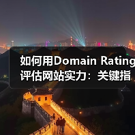 如何用Domain Rating评估网站实力：关键指标全解析