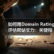 如何用Domain Rating评估网站实力：关键指标全解析（图2）