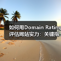 如何用Domain Rating评估网站实力：关键指标全解析（图3）