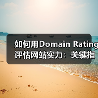 如何用Domain Rating评估网站实力：关键指标全解析（图4）