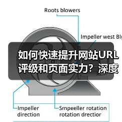 如何快速提升网站URL评级和页面实力？深度揭秘内链权重传递奥秘！（图2）