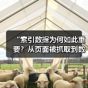 “索引数据为何如此重要？从页面被抓取到数据库存储，藏着SEO的巨大秘密！”（图2）