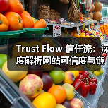 Trust Flow 信任流：深度解析网站可信度与链接质量评估的秘密（图3）