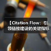 【Citation Flow：引领链接建设的关键指标揭秘】（图3）