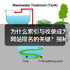 为什么索引与收录成为网站排名的关键？揭秘页面被抓取背后的秘密！