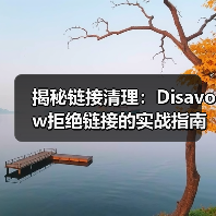 揭秘链接清理：Disavow拒绝链接的实战指南，助你逃脱惩罚
