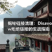 揭秘链接清理:Disavow拒绝链接的实战指南,助你逃脱惩罚恢复困境!(图4) 揭秘链接清理:Disavow拒绝链接的实战指南,助你逃脱惩罚恢复困境!(图4)