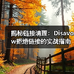 揭秘链接清理:Disavow拒绝链接的实战指南,助你逃脱惩罚恢复困境!(图2) 揭秘链接清理:Disavow拒绝链接的实战指南,助你逃脱惩罚恢复困境!(图2)