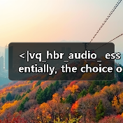 <|vq_hbr_audio_ essentially, the choice of resource would be determined by the s(图3) <|vq_hbr_audio_ essentially, the choice of resource would be determined by the s(图3)