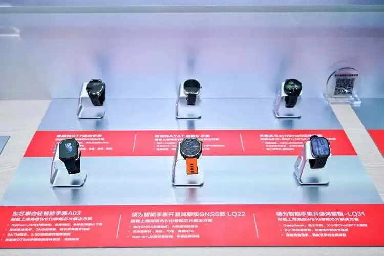 从内卷到破局:上海海思谛听穿戴方案重构智能手表产业逻辑(图2)
